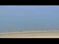 Webcam De Panne