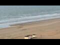 Webcam De Panne