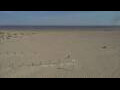 Webcam Dunkirk