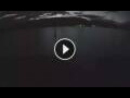 Webcam Bala