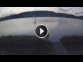 Webcam Bala