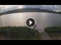 Webcam Bala