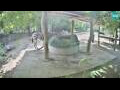 Webcam Lubiana