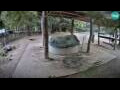Webcam Lubiana