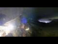 Webcam Jungfraujoch
