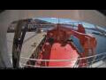 Webcam Arpaarti Arctica