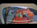 Webcam Arpaarti Arctica