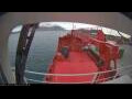 Webcam Arpaarti Arctica
