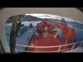Webcam Arpaarti Arctica