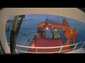 Webcam Arpaarti Arctica