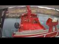 Webcam Arpaarti Arctica