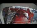 Webcam Arpaarti Arctica