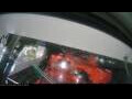 Webcam Tilioq Arctica