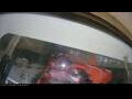 Webcam Tilioq Arctica