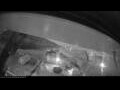 Webcam Tilioq Arctica