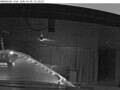 Webcam Norwegian Viva