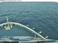 Webcam Norwegian Viva