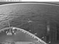 Webcam Norwegian Viva