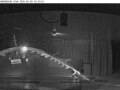 Webcam Norwegian Viva