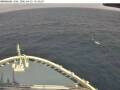 Webcam Norwegian Viva