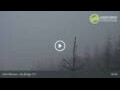 Webcam Dolni Morava