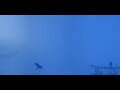 Webcam Kleine Scheidegg