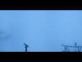 Webcam Kleine Scheidegg