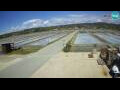 Webcam Portoroz