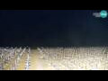 Webcam Bibione