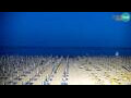 Webcam Bibione