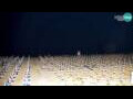 Webcam Bibione