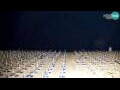 Webcam Bibione