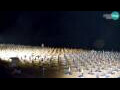Webcam Bibione