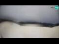 Webcam Bohinjska Bistrica