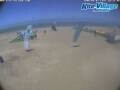 Webcam Marsa Alam