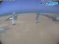 Webcam Marsa Alam