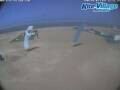 Webcam Marsa Alam