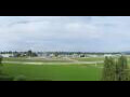 Webcam Altenrhein