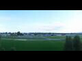 Webcam Altenrhein