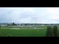 Webcam Altenrhein