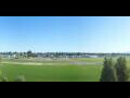 Webcam Altenrhein