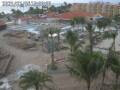 Webcam Oranjestad