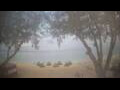 Webcam West Bay