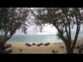 Webcam West Bay