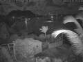 Webcam Quart-A-Nancy Point, Cooper Island