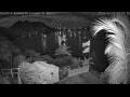 Webcam Quart-A-Nancy Point, Cooper Island