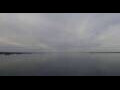 Webcam Viking Polaris