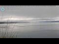 Webcam Lake Pukaki