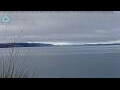 Webcam Lake Pukaki