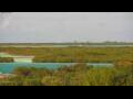 Webcam Providenciales